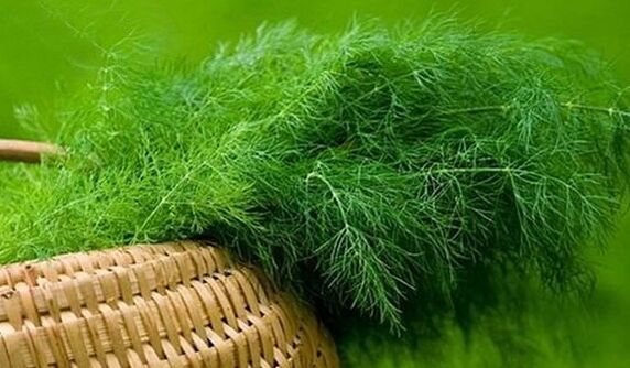 Dill